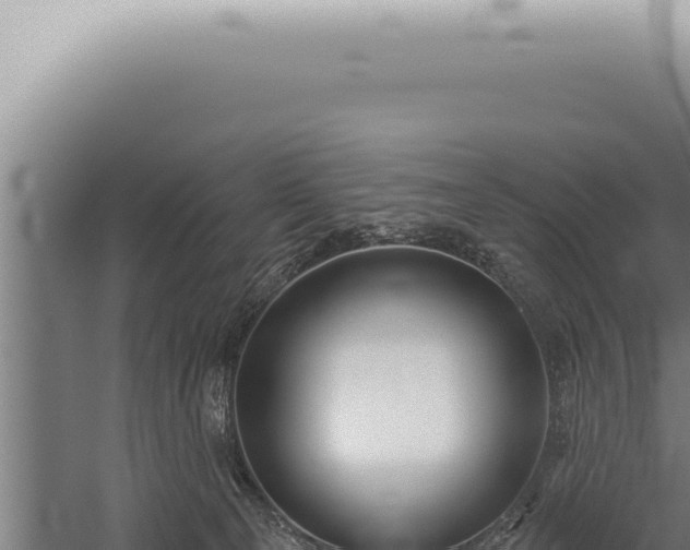 X0000059820129200510281741