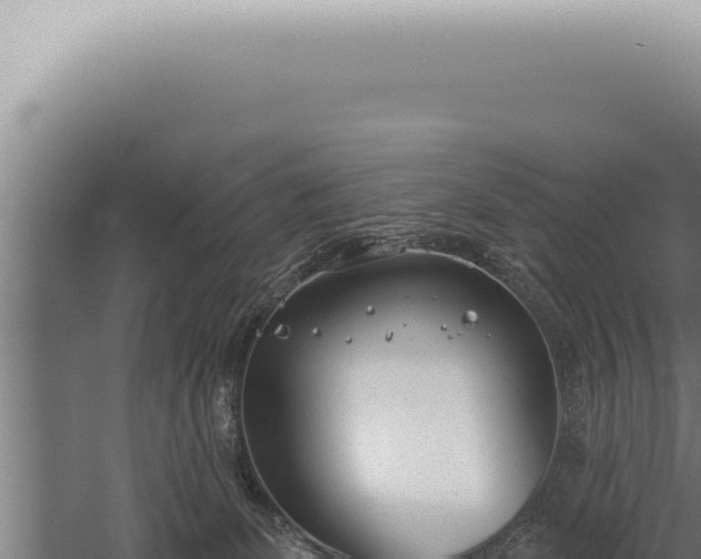 X0000059820131200510281741