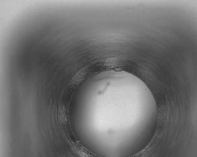 X0000059820136200510281741