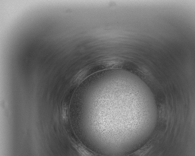 X0000059820138200510281741