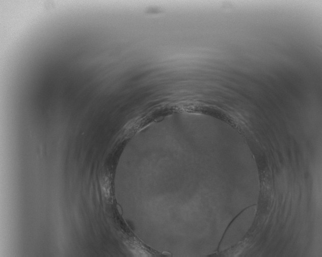 X0000059820139200510281741