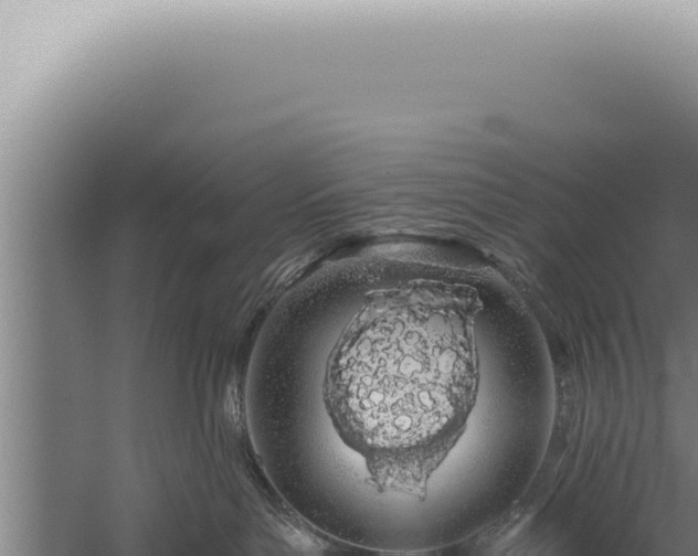 X0000059820143200510281741