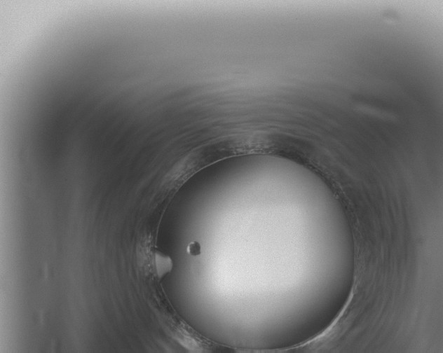 X0000059820144200510281741