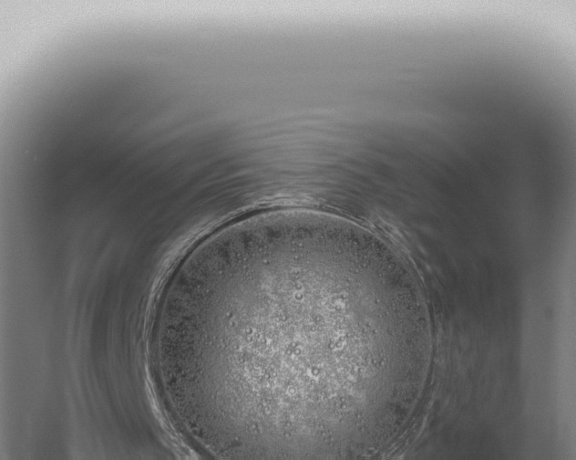 X0000059820145200510281740