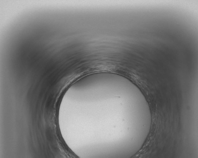 X0000059820146200510281740