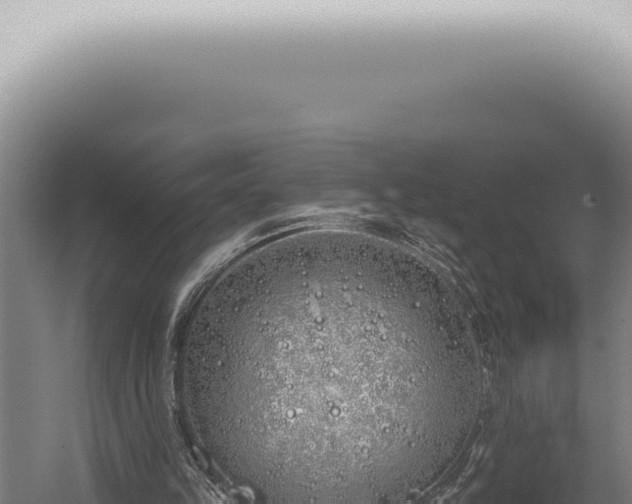 X0000059820149200510281740