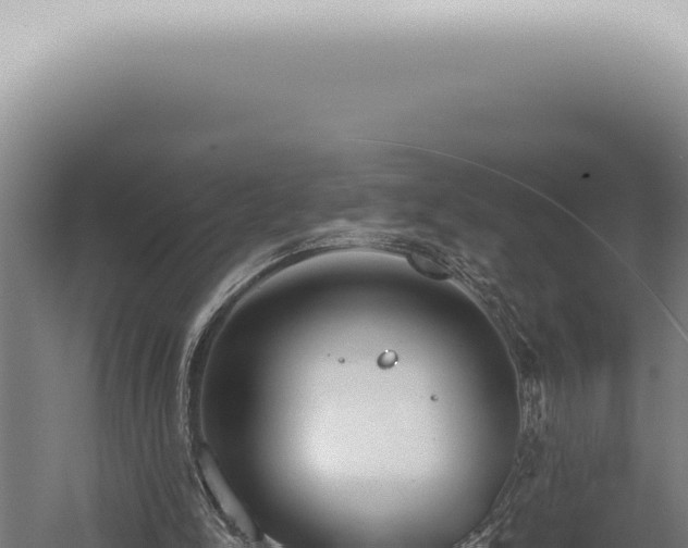 X0000059820150200510281740