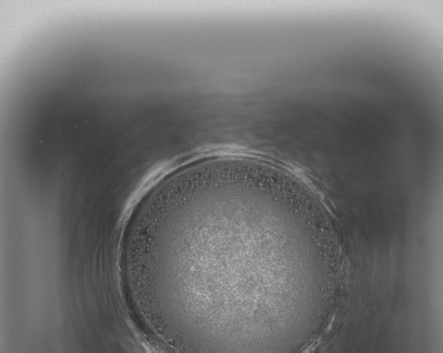 X0000059820151200510281740