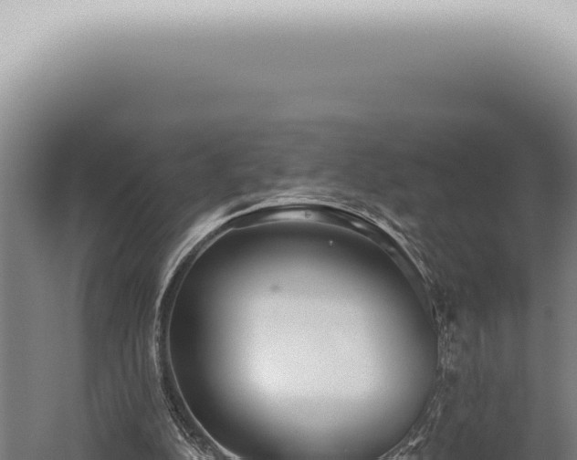 X0000059820152200510281740