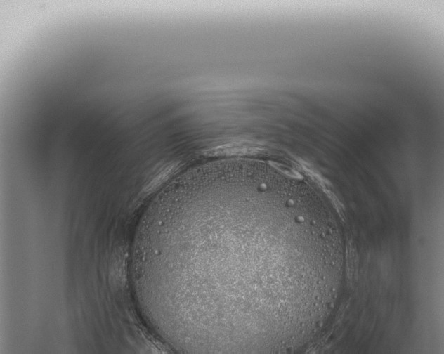 X0000059820153200510281740