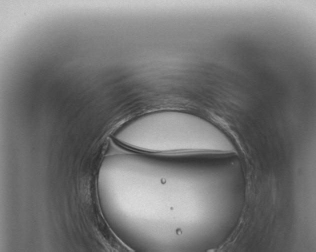 X0000059820154200510281740