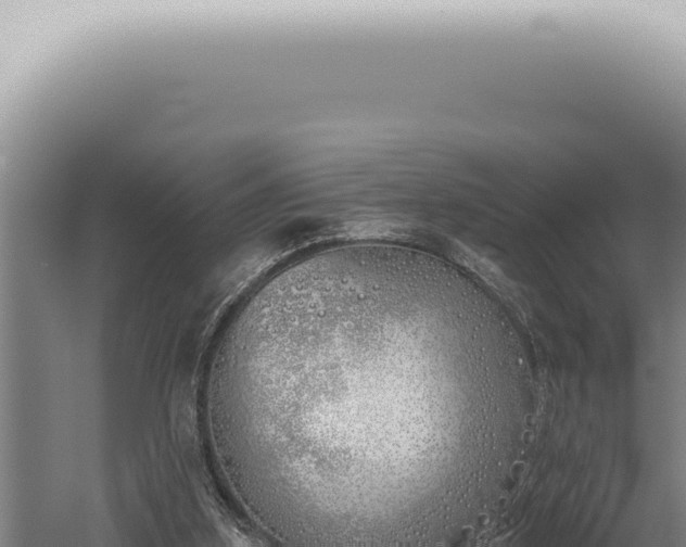 X0000059820155200510281741