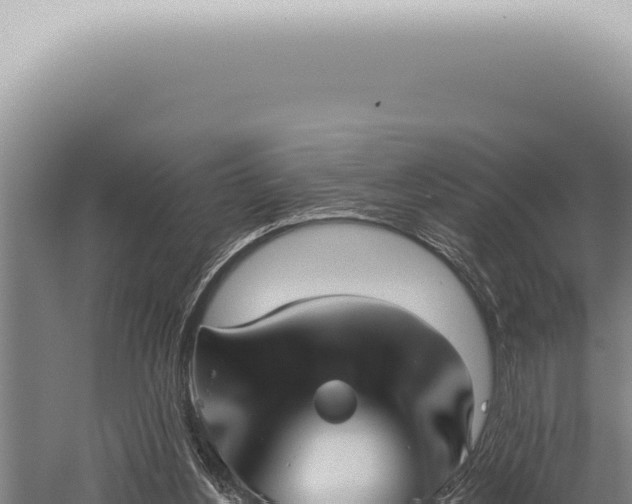 X0000059820156200510281741