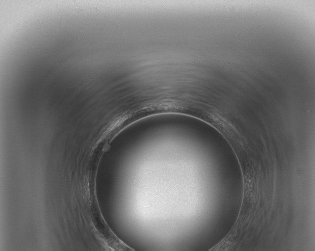 X0000059820158200510281741