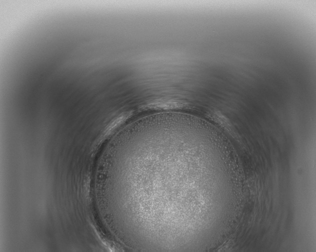 X0000059820159200510281741