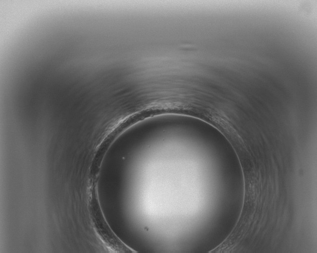 X0000059820160200510281741