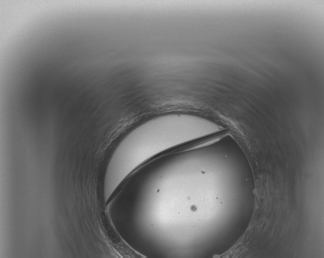 X0000059820162200510281741