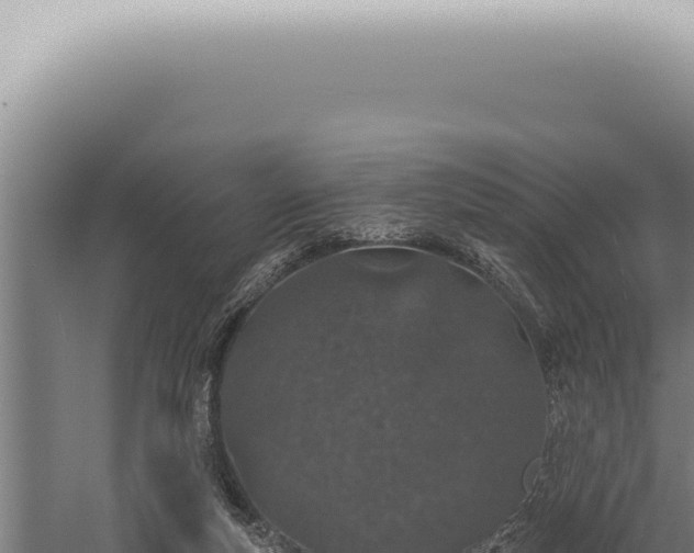 X0000059820163200510281741