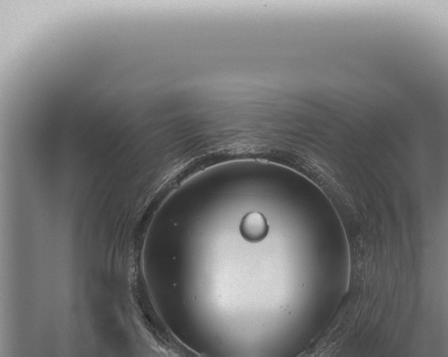 X0000059820164200510281741