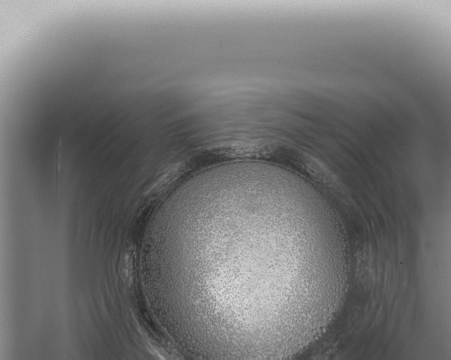 X0000059820165200510281741