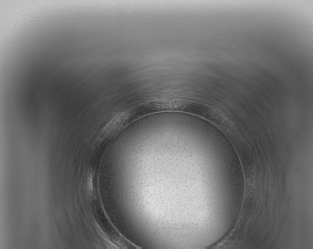 X0000059820166200510281741