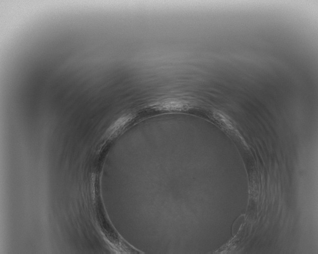 X0000059820167200510281741