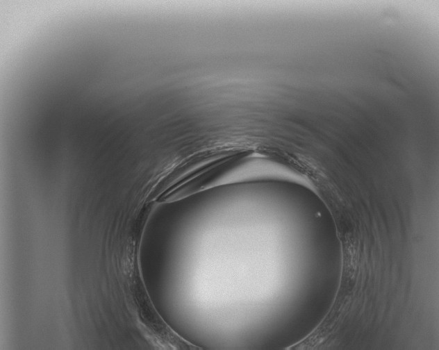 X0000059820168200510281741