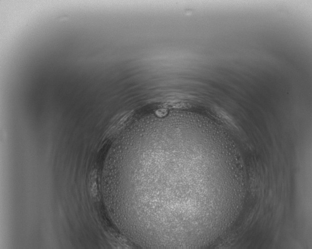 X0000059820169200510281741