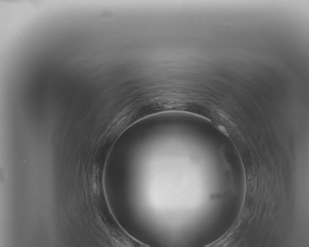 X0000059820170200510281741