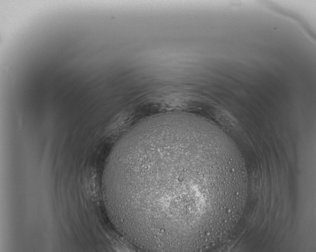 X0000059820173200510281741