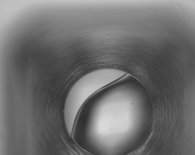 X0000059820174200510281741