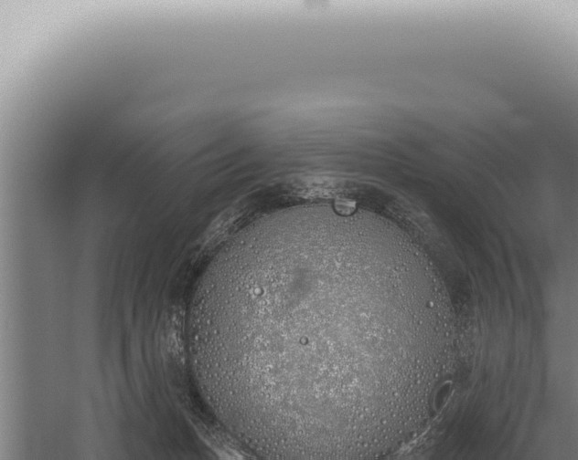 X0000059820175200510281741