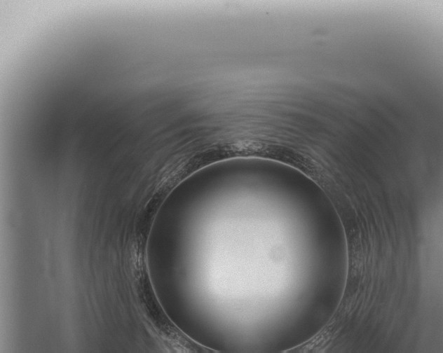 X0000059820176200510281741