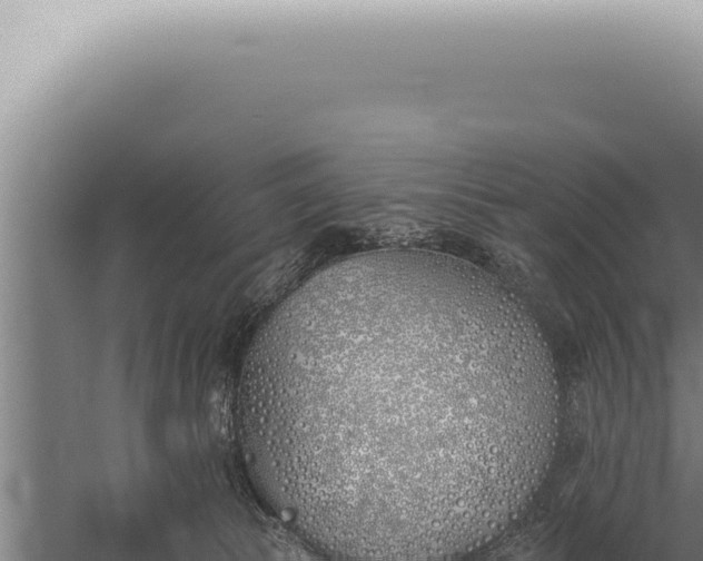 X0000059820177200510281741