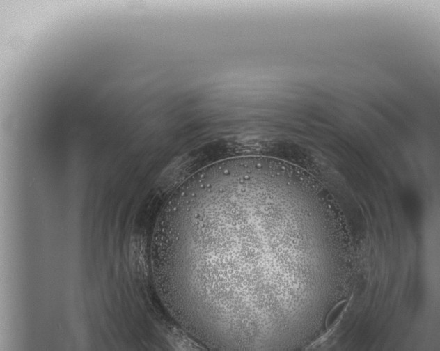 X0000059820178200510281741