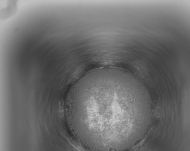 X0000059820179200510281741