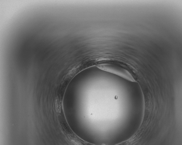 X0000059820180200510281741