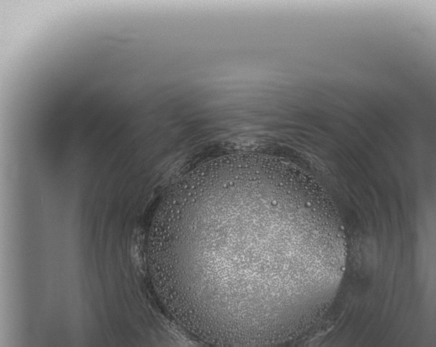 X0000059820181200510281741