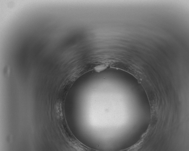 X0000059820182200510281741