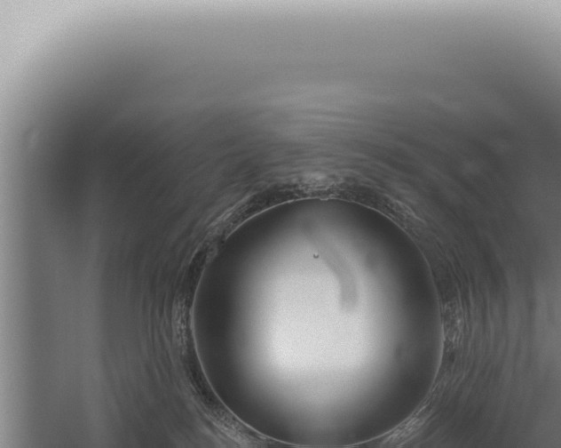 X0000059820184200510281741