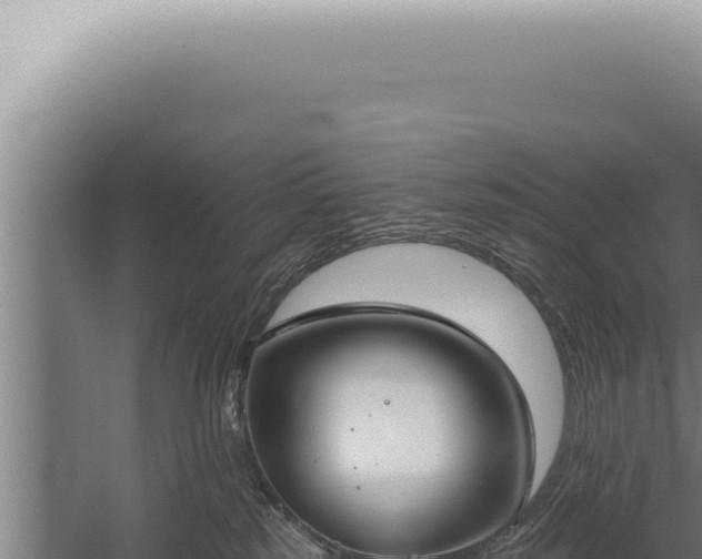 X0000059820185200510281741