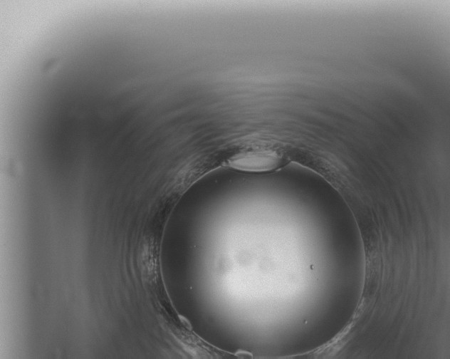 X0000059820186200510281741