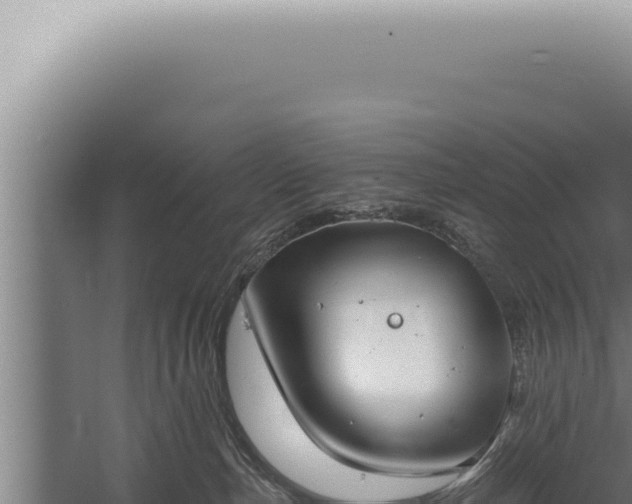 X0000059820187200510281741