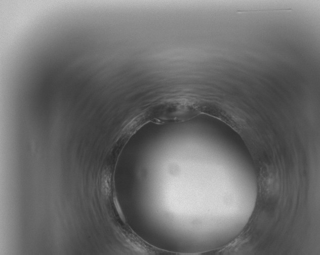 X0000059820188200510281741