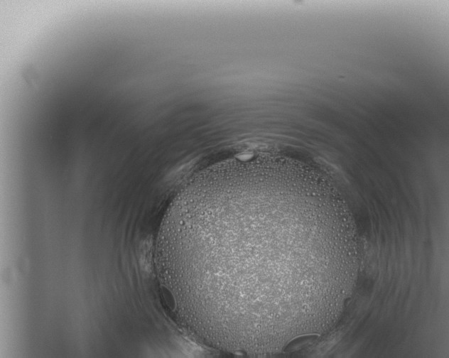 X0000059820189200510281741