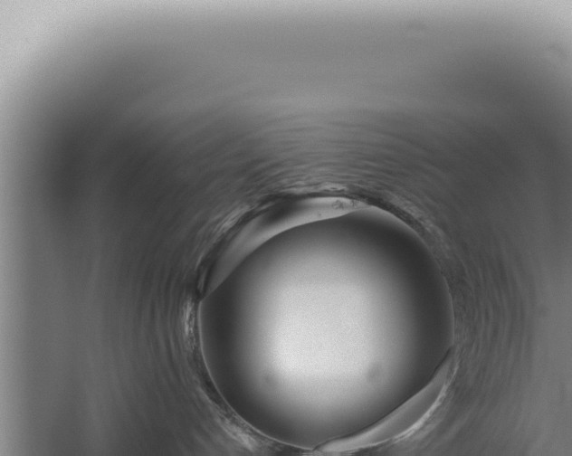 X0000059820192200510281741