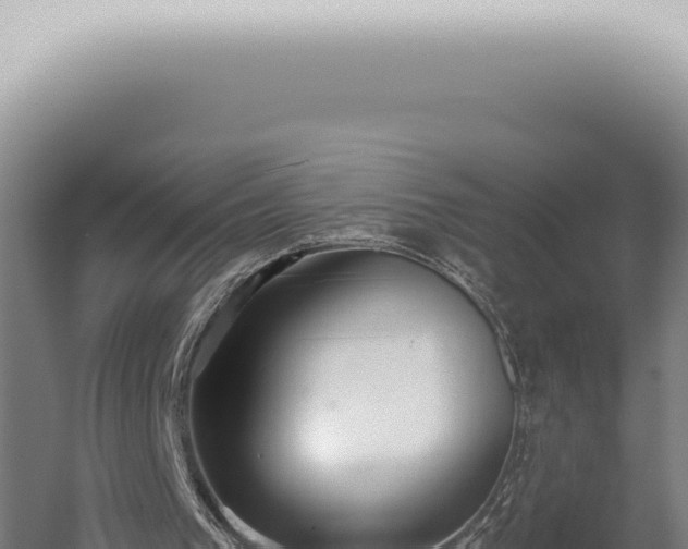 X0000059820193200510281740