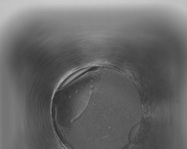 X0000059820196200510281740