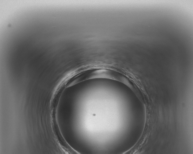 X0000059820197200510281740