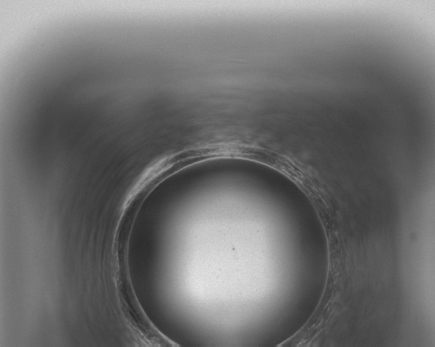 X0000059820198200510281740